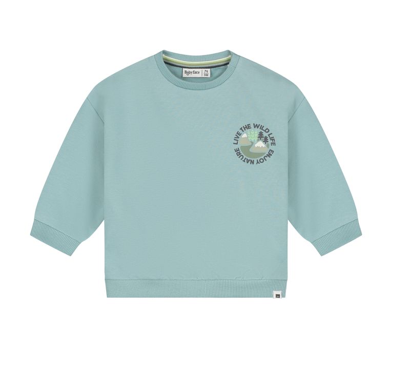 Sweater - Wild Life - Sky