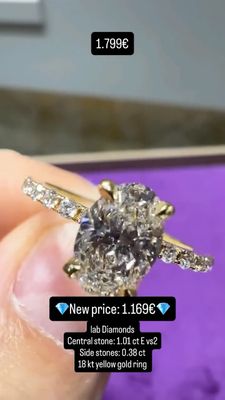 1ct Oval Pave Hidden Halo (E Vs2)