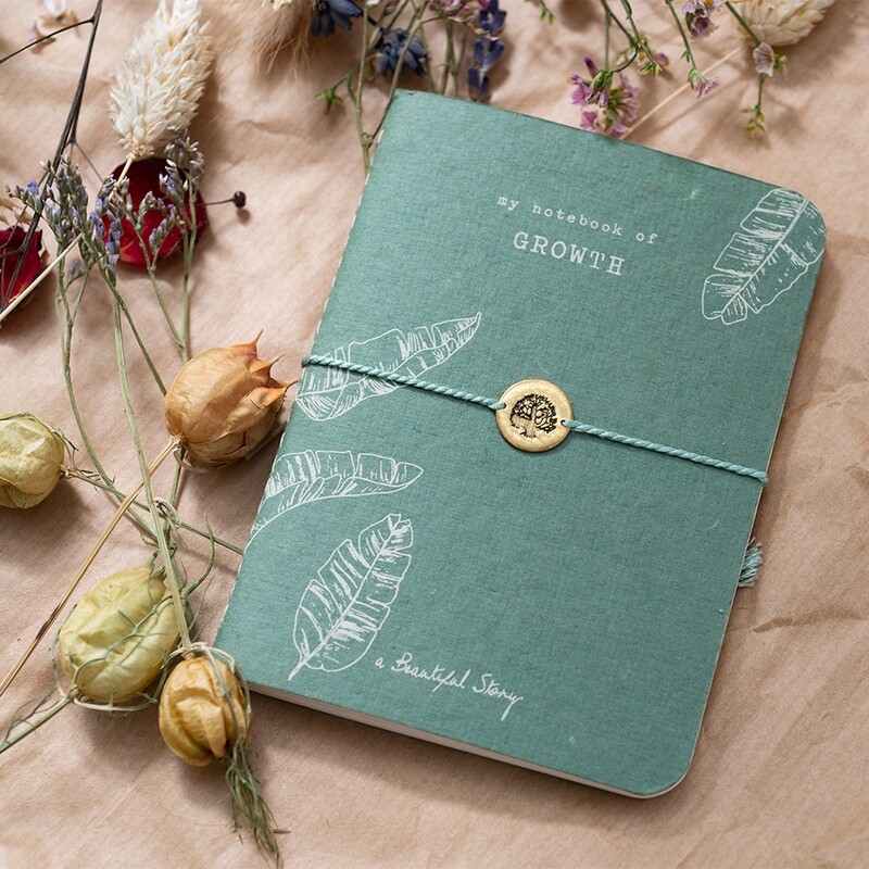 a Beautiful Story - Storybook