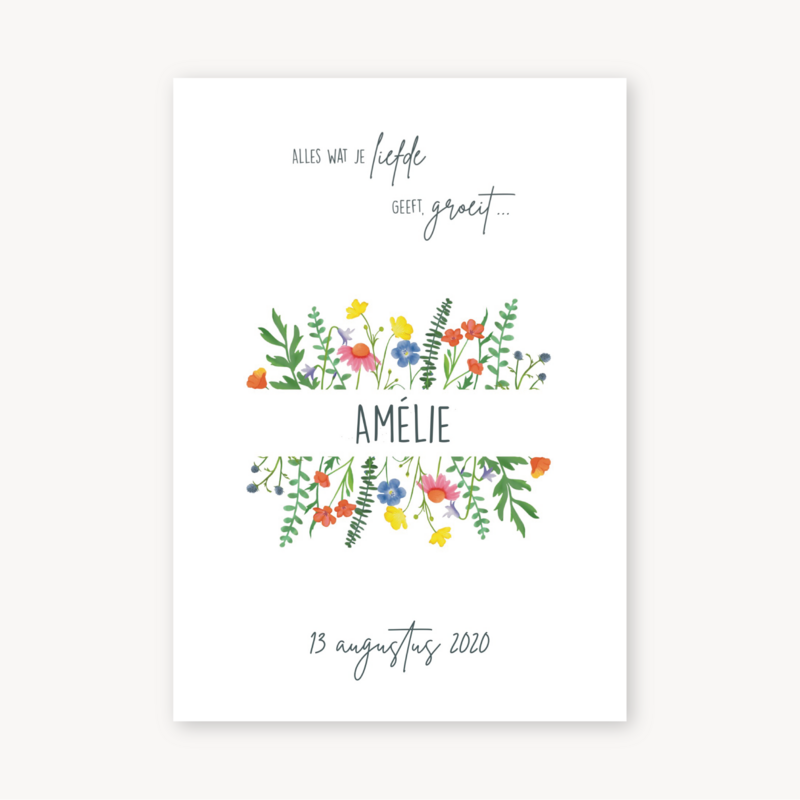 Geboortekaartje Amélie