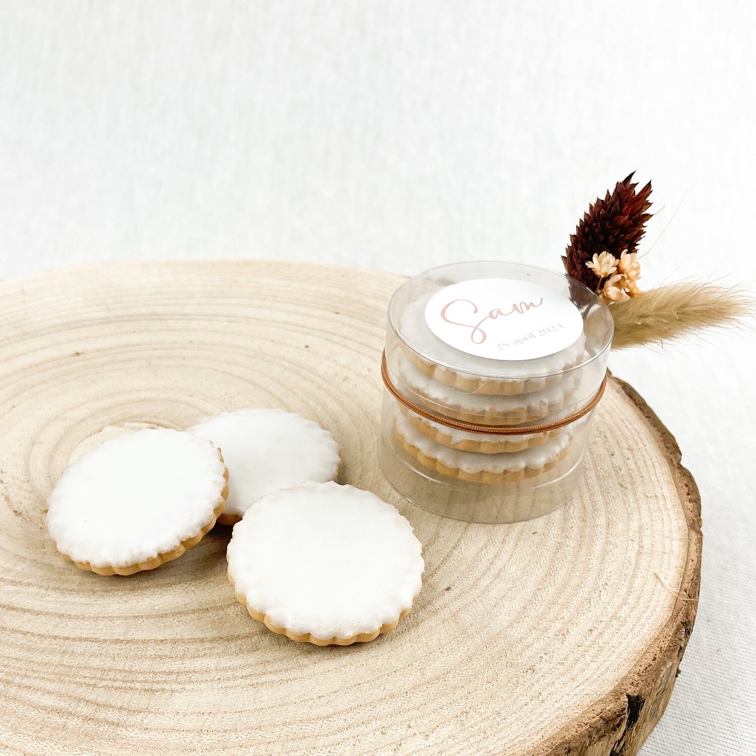 cilinderpotje met koekjes - thema terra cilinderpotje met koekjes - thema terra