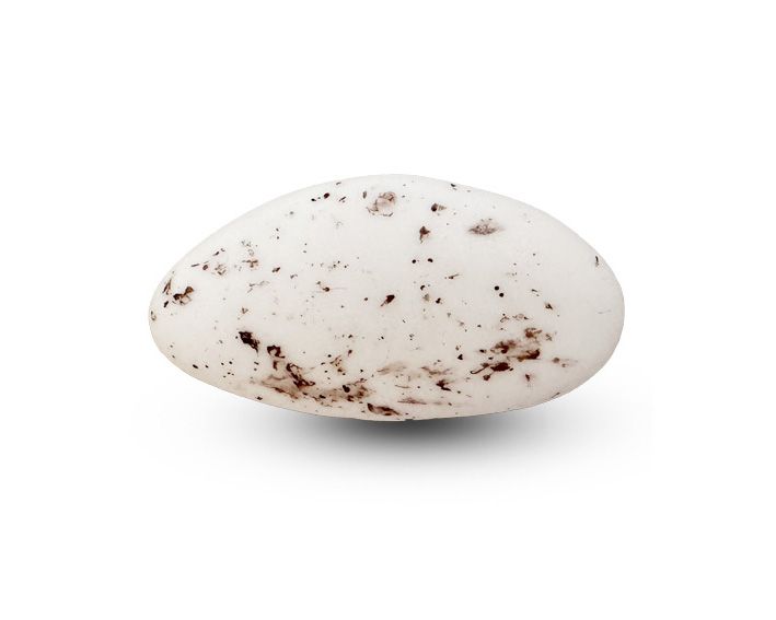 Suikerbonen - amandel marmer mat 55% - Papa Chocolat Suikerbonen - amandel marmer mat 55% - Papa Chocolat