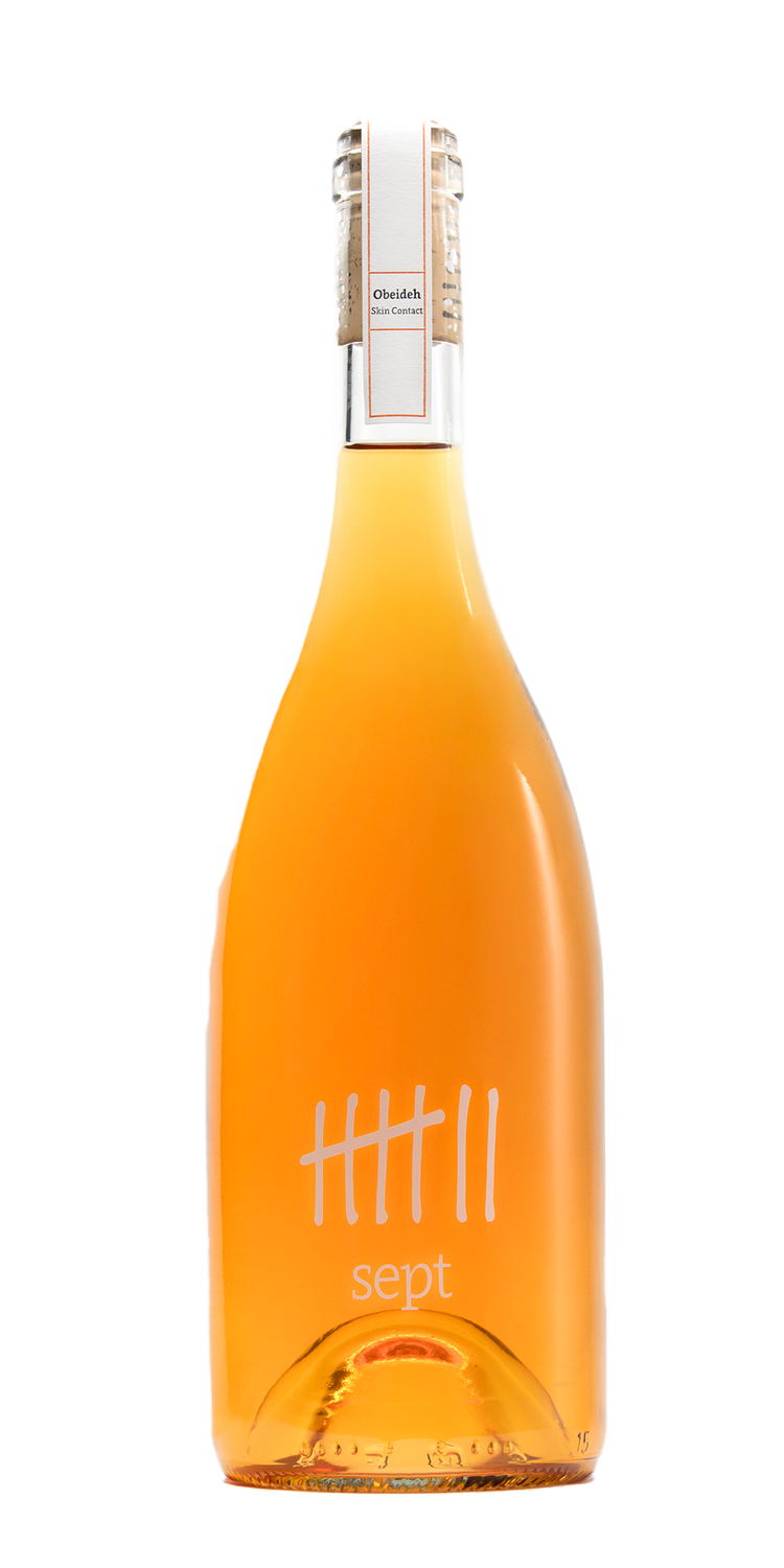 Sept Merweh Skin contact (Limited Edition)