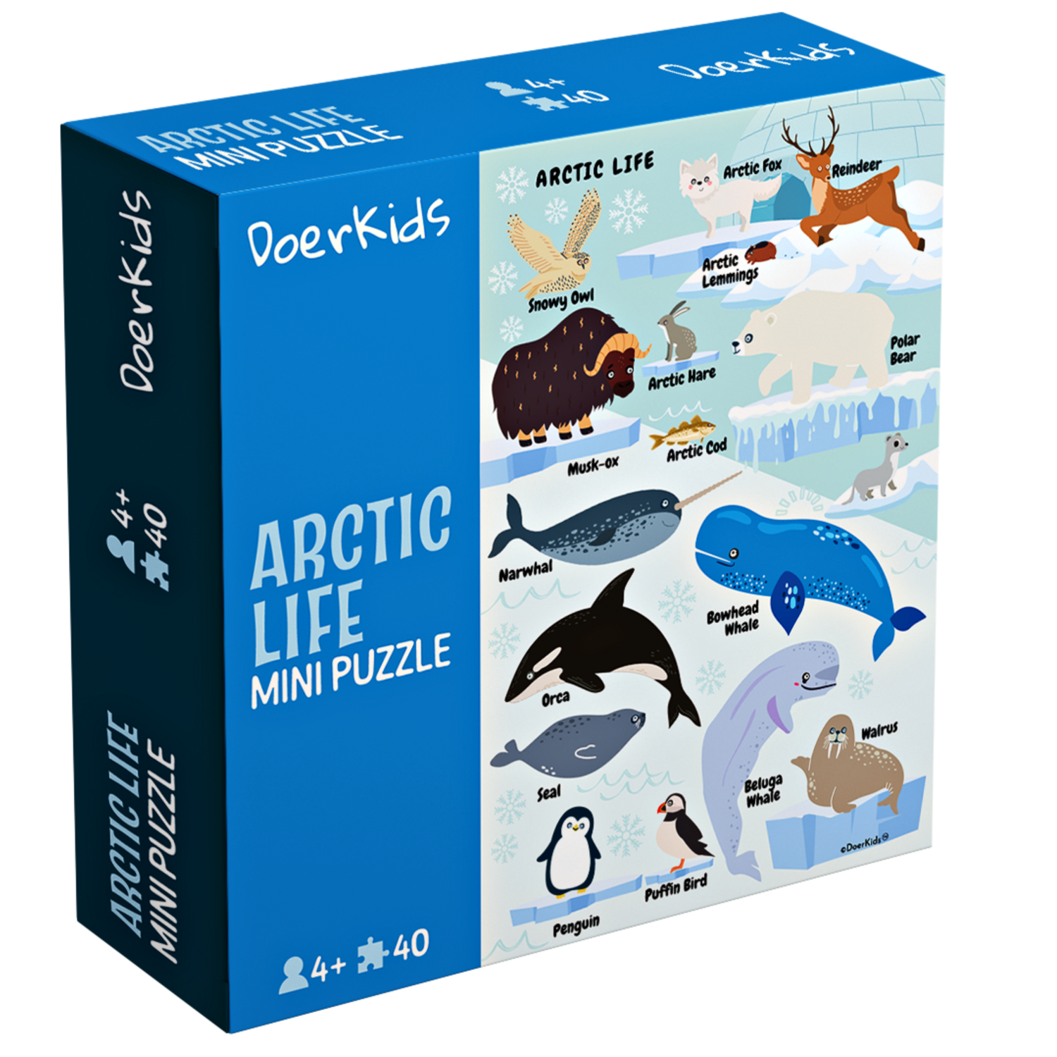 DoerKids® Mini Puzzle Arktis, 40 Stk.