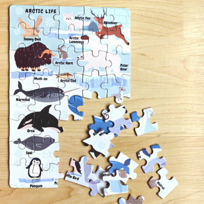 DoerKids Mini Puzzle Arctique, 40 pcs. – photo produit, puzzle enfant, jouet de motricité
