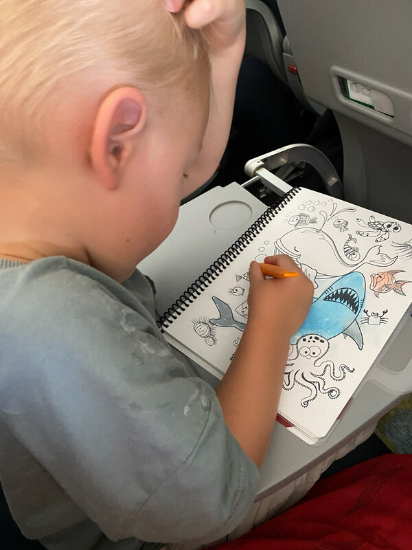Funny Mat Reusable Coloring Book. TRAVEL SET – product image, STEM toy, baby feeding set