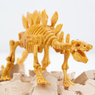 STEM/STEAM Experimentierkästen