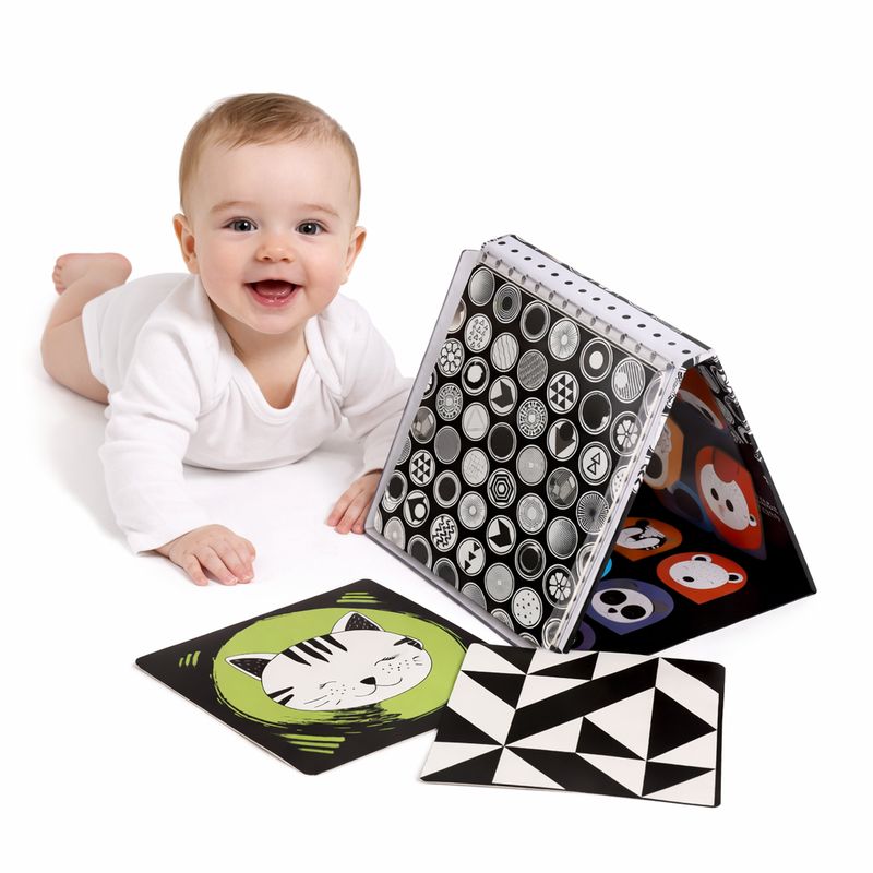 Tummy Time Floor Mirror and Baby Stimulus Cards