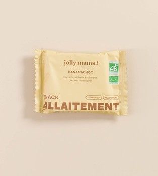 Organic Banana Chocolate Snack Bars – Breastfeeding Support (12 Pack)