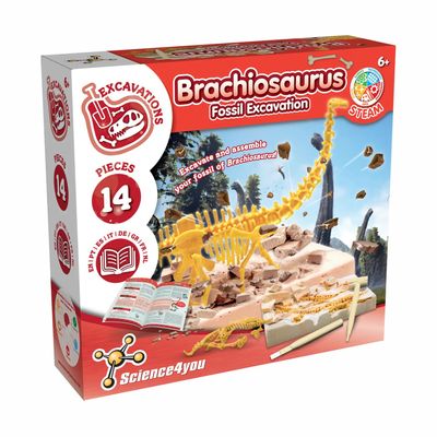 Kit per lo scavo di fossili di Brachiosaurus – Giocattolo archeologico STEAM