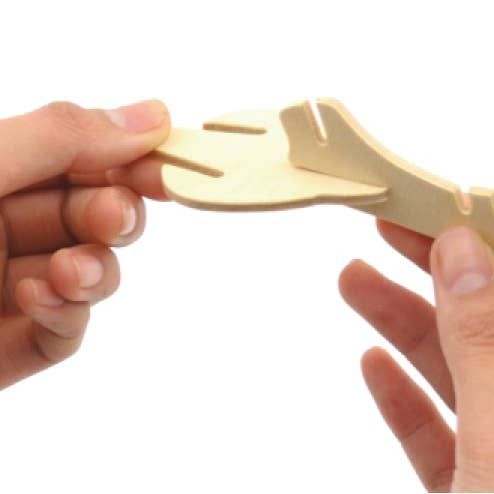 ANDREU TOYS Wooden Crocodile Skeleton Model Kit – Build &amp; Paint – product image, STEM toy, arts and…