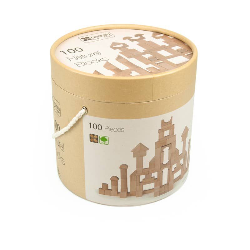 100 Natural Wooden Building Blocks – STEM Construction Set with 18 Models