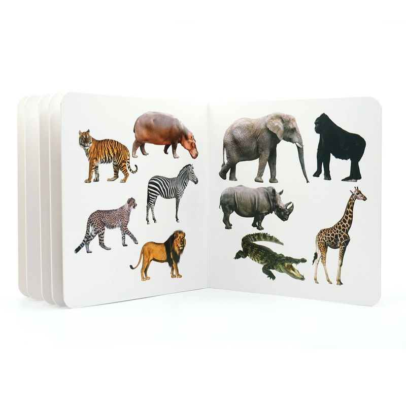 Wild Animals Educational Baby Book – Visual Learning for Babies &amp; Toddlers