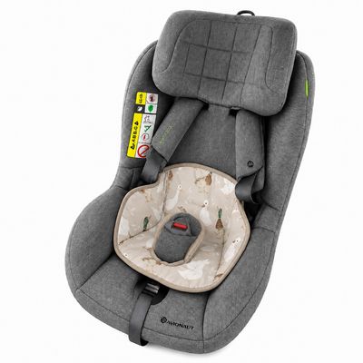 Waterproof car seat protector - Ducks