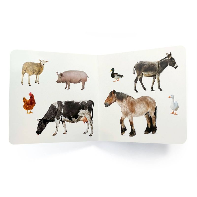 Farm Animals Educational Baby Book – Visual Learning for Babies &amp; Toddlers