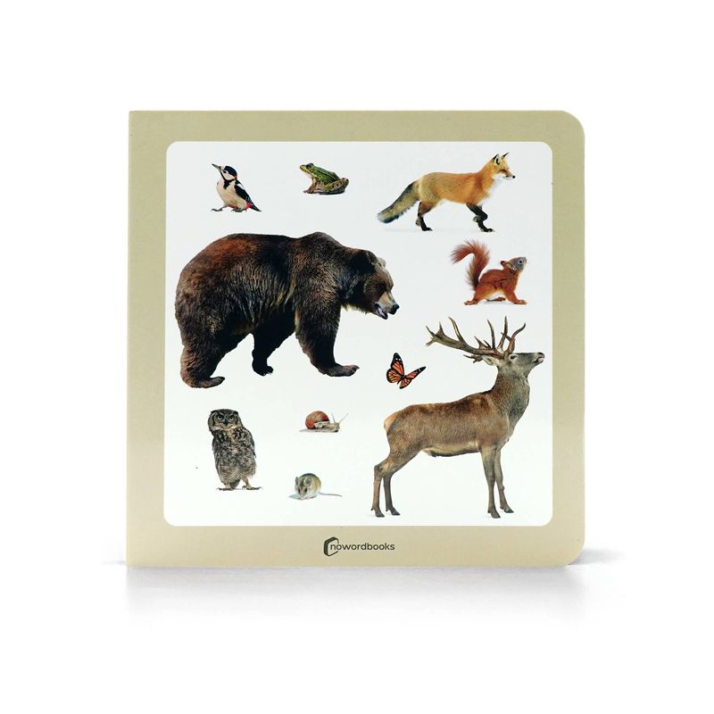 Forest Animals Educational Baby Book – Visual Learning for Babies &amp; Toddlers