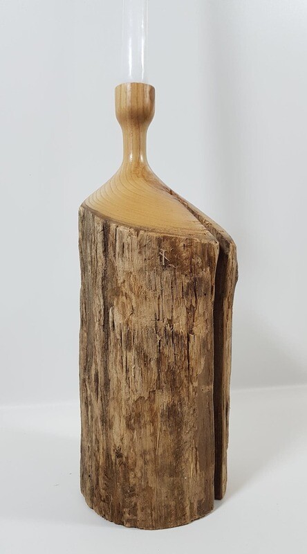 model 1