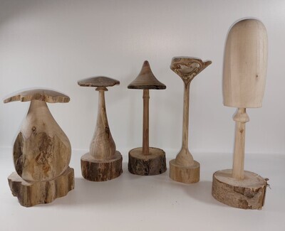 Paddenstoelen