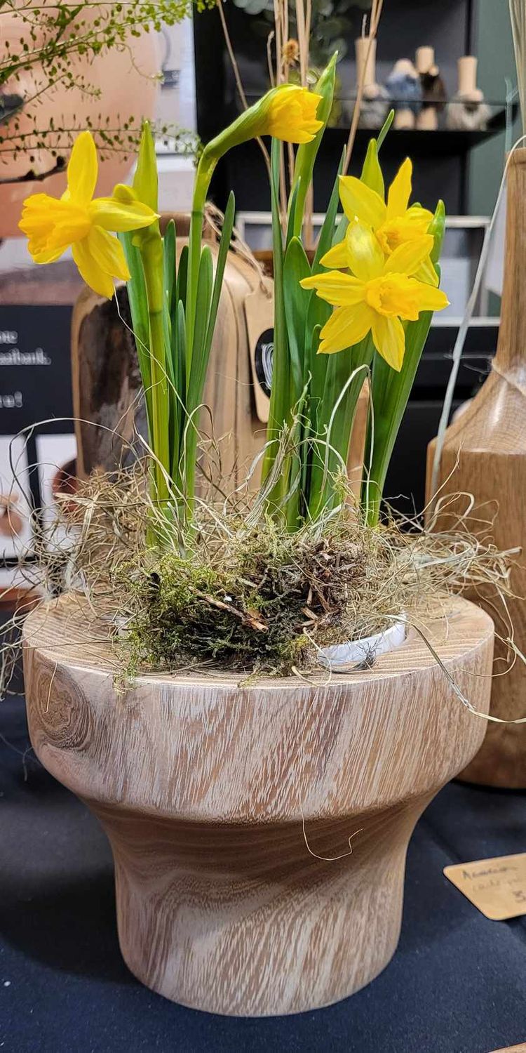 Houten bloempot, cache-pot, handmade, handgemaakt in België op de houtdraaibank, houtsoort &#39;Acacia&#39;, incl bloempotje van Elho