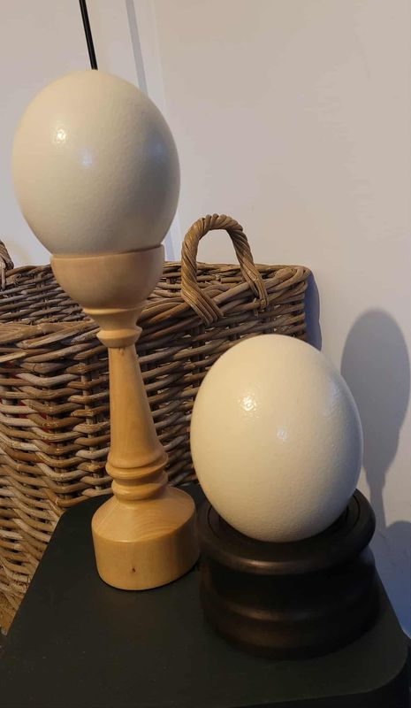 Struisvogelei met houten steun, onderzetter. handmade in Belgium , handgemaakt in België op de houtdraaibank. Struisvogelei met houten steun, onderzetter. handmade in Belgium , handgemaakt in België op de houtdraaibank.