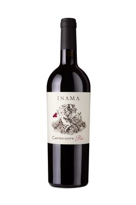 INAMA "Carmenere Più" Veneto Rosso IGT 2023