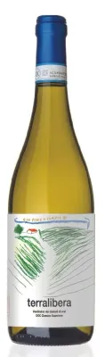 TERRA LIBERA Verdicchio dei Castelli Di Jesi Classico Superiore DOC 2024 TERRA LIBERA Verdicchio dei Castelli Di Jesi Classico Superiore DOC 2024