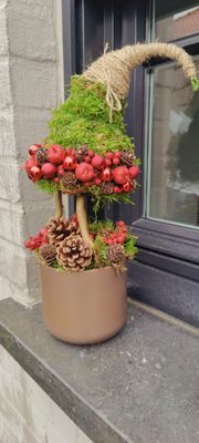 Workshop boompjes set van 2,  4 december 