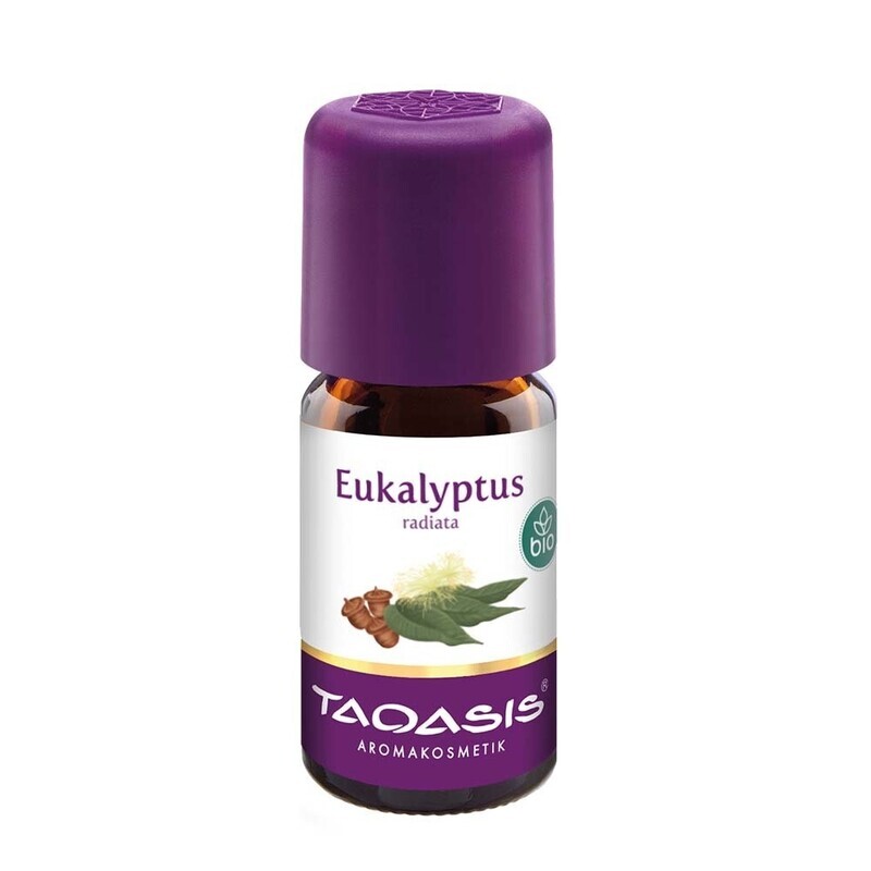 Eucalyptus Radiata essentiële olie Taoasis 5 ml
