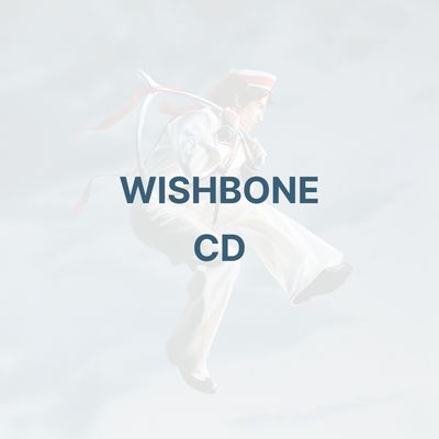 WISHBONE (CD) - CONAN GRAY