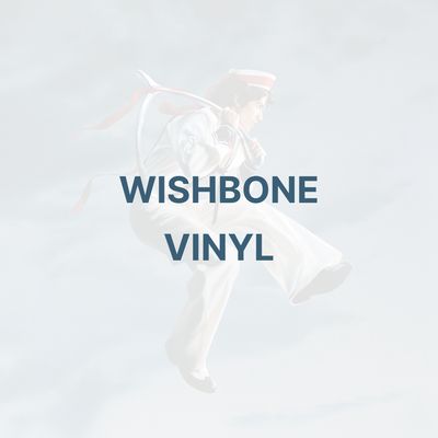 WISHBONE (VINYL) - CONAN GRAY