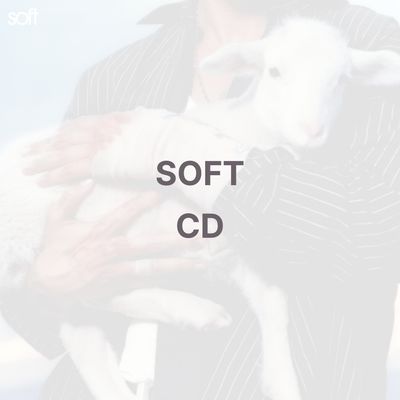 SOFT (CD) - LANY
