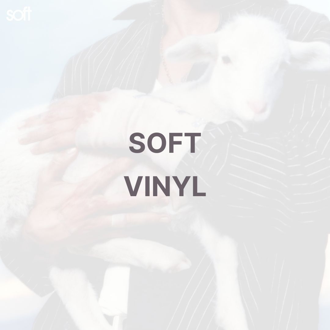 SOFT (VINYL) - LANY