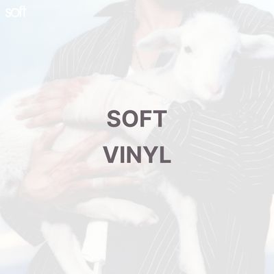 SOFT (VINYL) - LANY