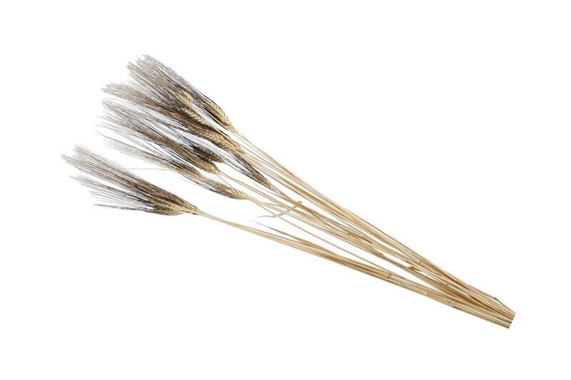 Droogbloemen Tarwe 100cm