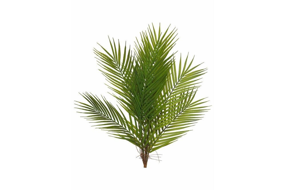 Groen 'Areca palm' 6 takken groen 60cm