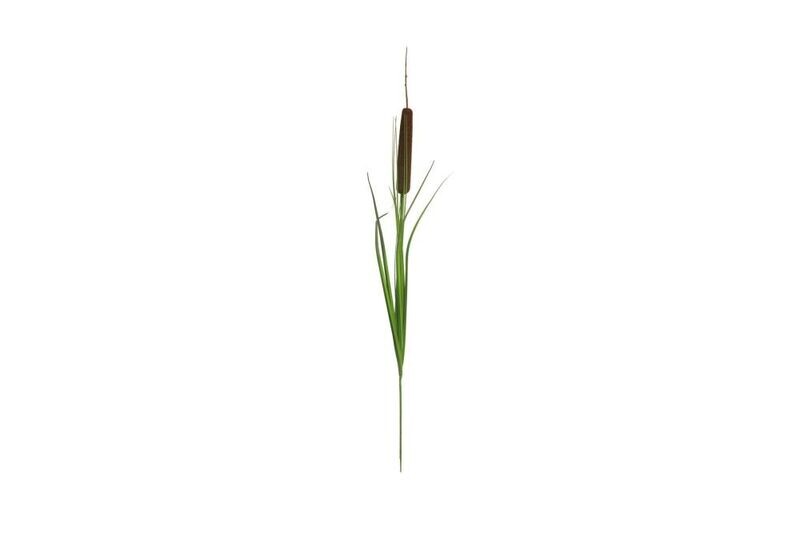Zijde Typha bruin 90cm