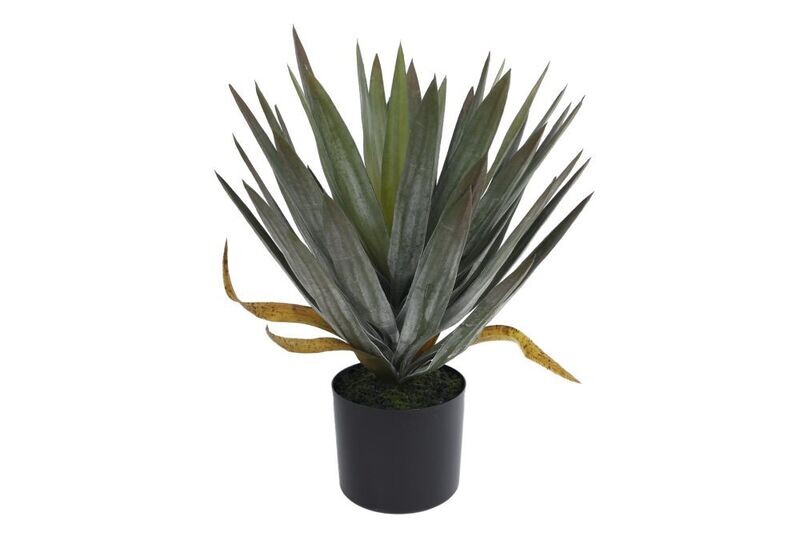 Zijde 'Yucca' groen 50cm