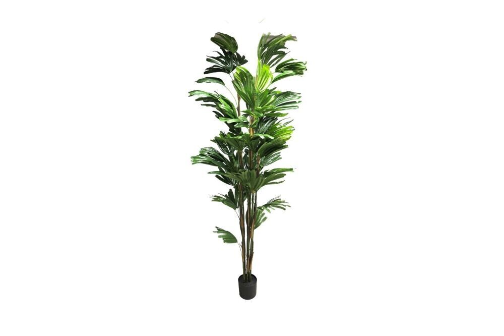 Zijde Rhapis Palm Romery groen 210cm