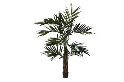 Zijde 'Kentia palm Alton' in pot 270cm groen