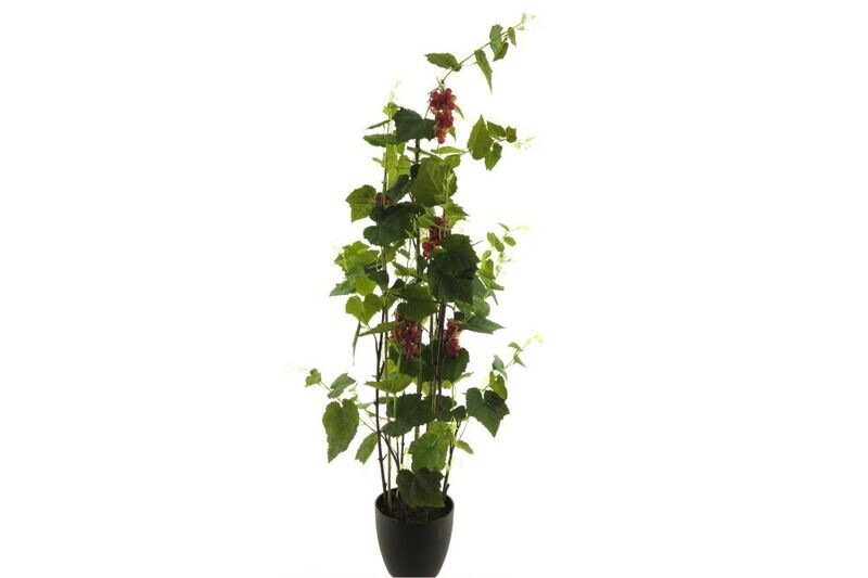 Zijde 'Grapevine' groen 170cm