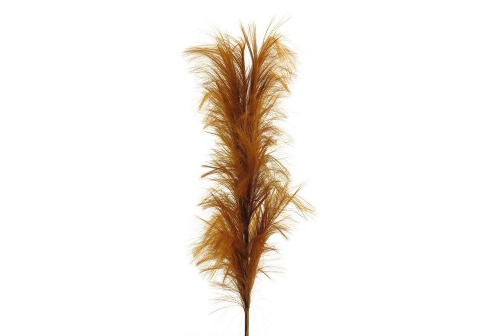 Zijde ‘Feather spray’ bruin 160cm