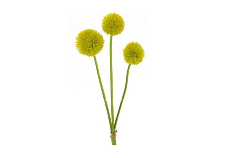 Zijde Echinpos bundle