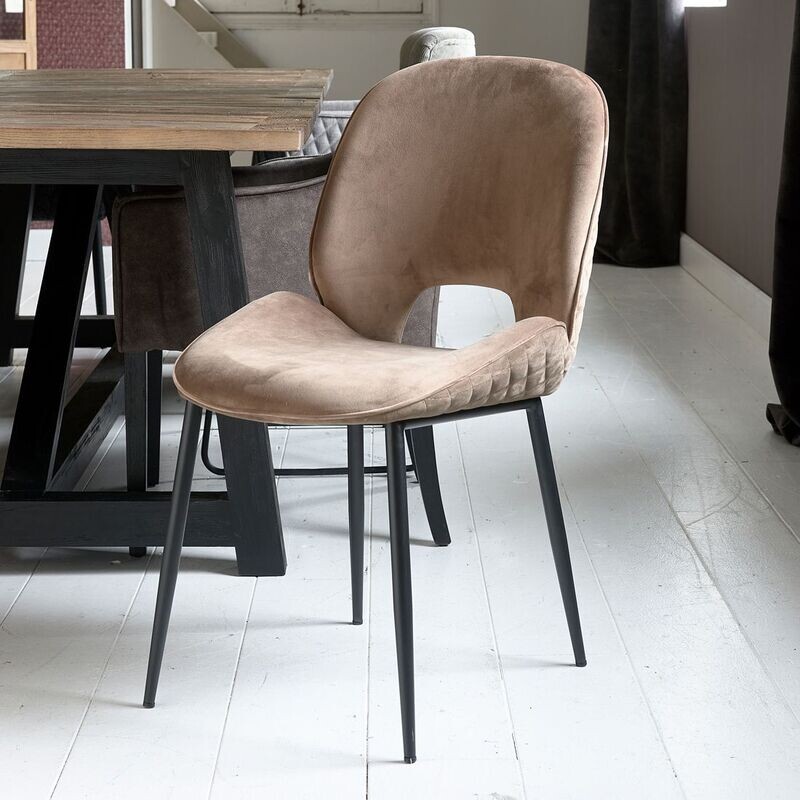 RM Mr. Beekman DC Vel III Gldn Mink RM Mr. Beekman DC Vel III Gldn Mink