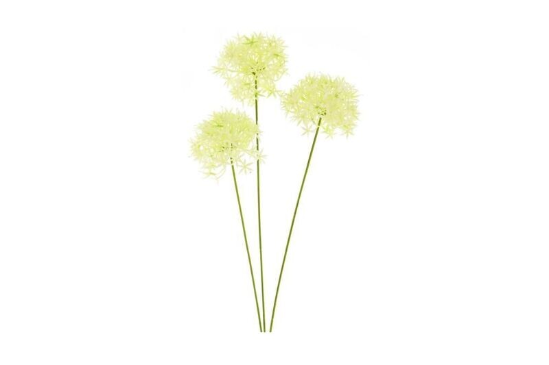 Zijde Allium bobo cream GUYQ