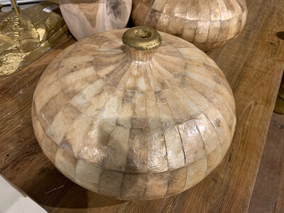 Vaas SHELL XS gold