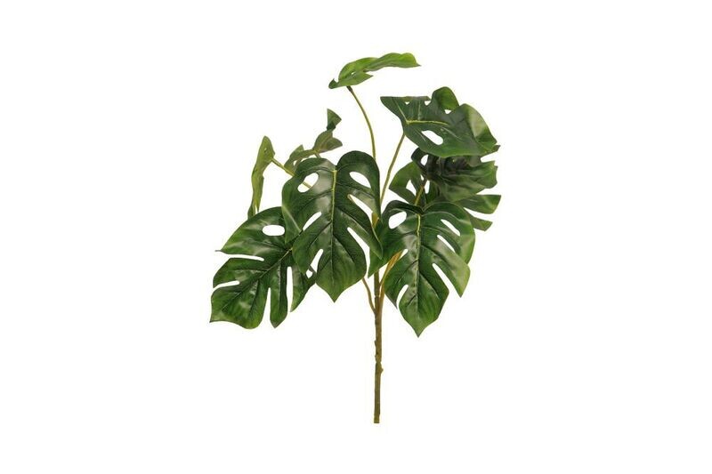 Groen Monstera 45cm