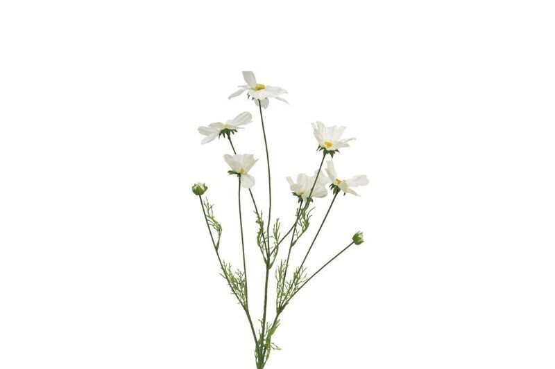 Zijde ‘Cosmos Orion’ Crème 92cm