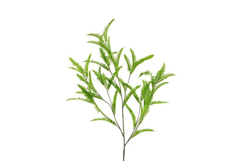 Zijde ‘Fern Spray’ Groen 123cm