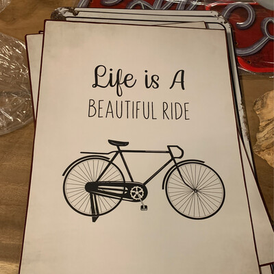 TB Bike XL