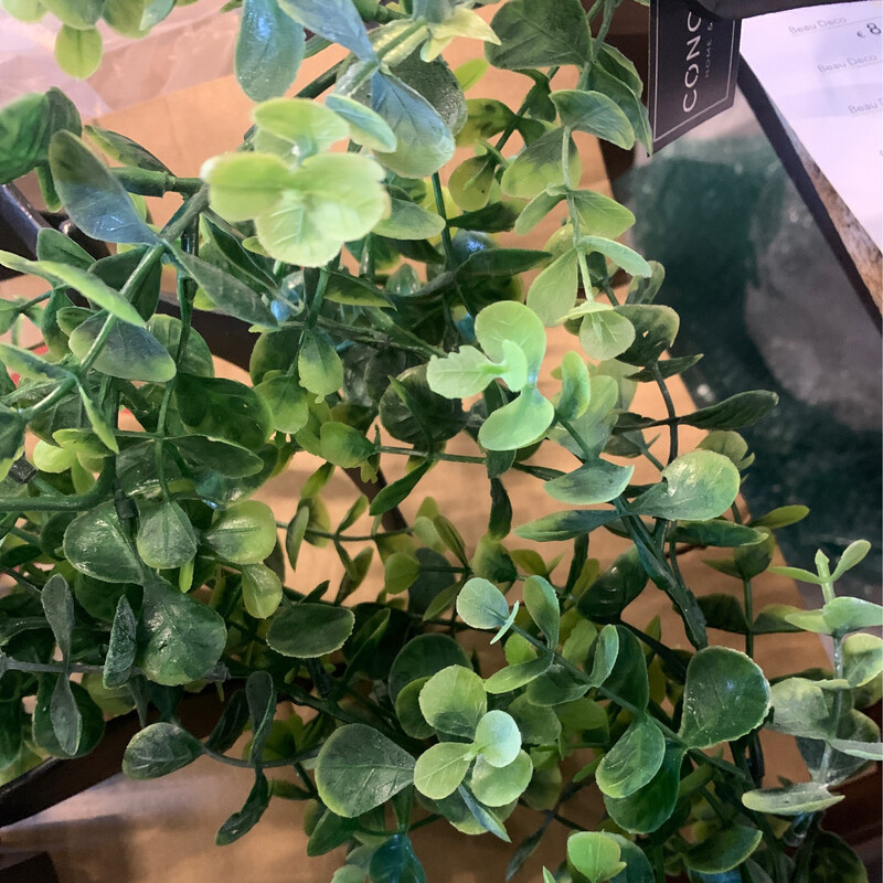 Slinger Eucalyptus 170cm